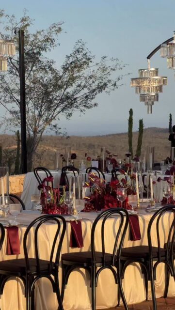 ✨ Discover the weddings everyone is talking about.

From breathtaking celebrations and unforgettable tablescapes to curated inspiration, expert insights, and our favorite Amazon finds, Cabo Bride brings you the best of the wedding world—all in one place.

Visit cabobride.com for real weddings, inspiring blogs, trending ideas, and our handpicked Amazon storefront. 🤍

#CaboBride #WeddingMagazine #RealWeddings #WeddingInspiration #LuxuryWeddings