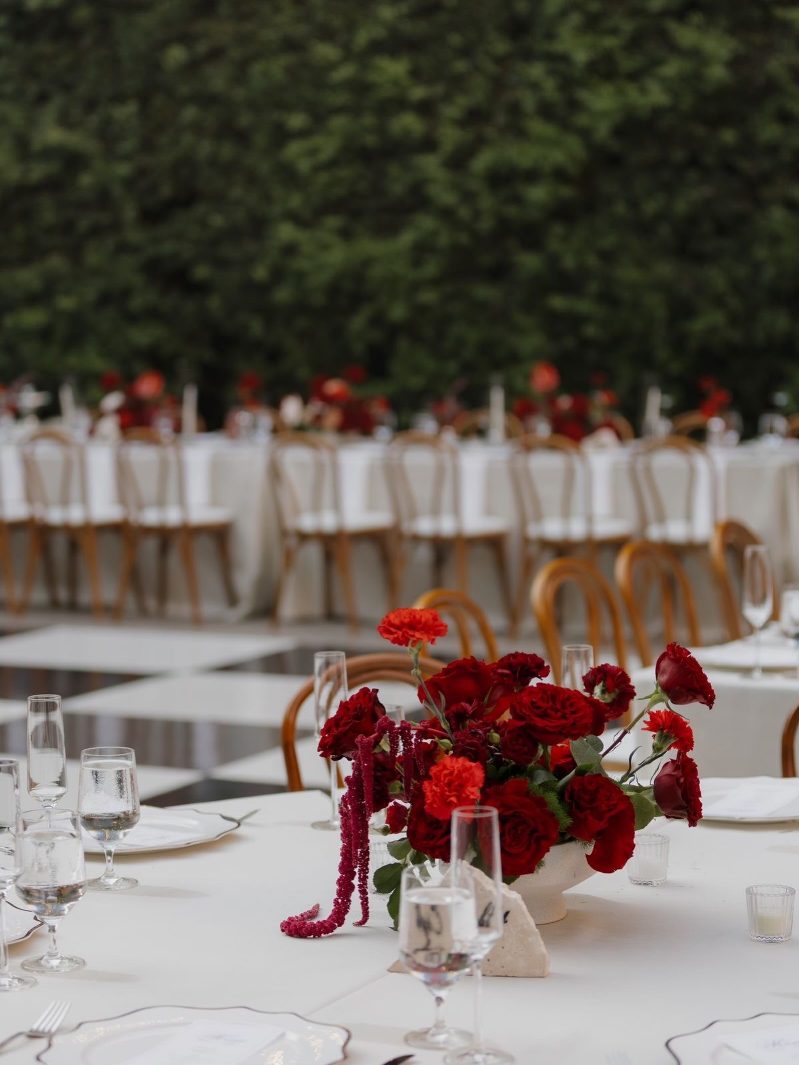 Romantic, intentional, and a little unexpected. ❤️‍🔥

A tablescape where classic romance meets modern editorial design—lush red florals, delicate details, and an effortless garden setting creating a dinner that feels as unforgettable as the celebration itself.

Because the table isn’t just where your guests sit—it’s where the story unfolds. ✨

#CaboBride #WeddingInspiration #WeddingDesign #Tablescape #LuxuryWedding