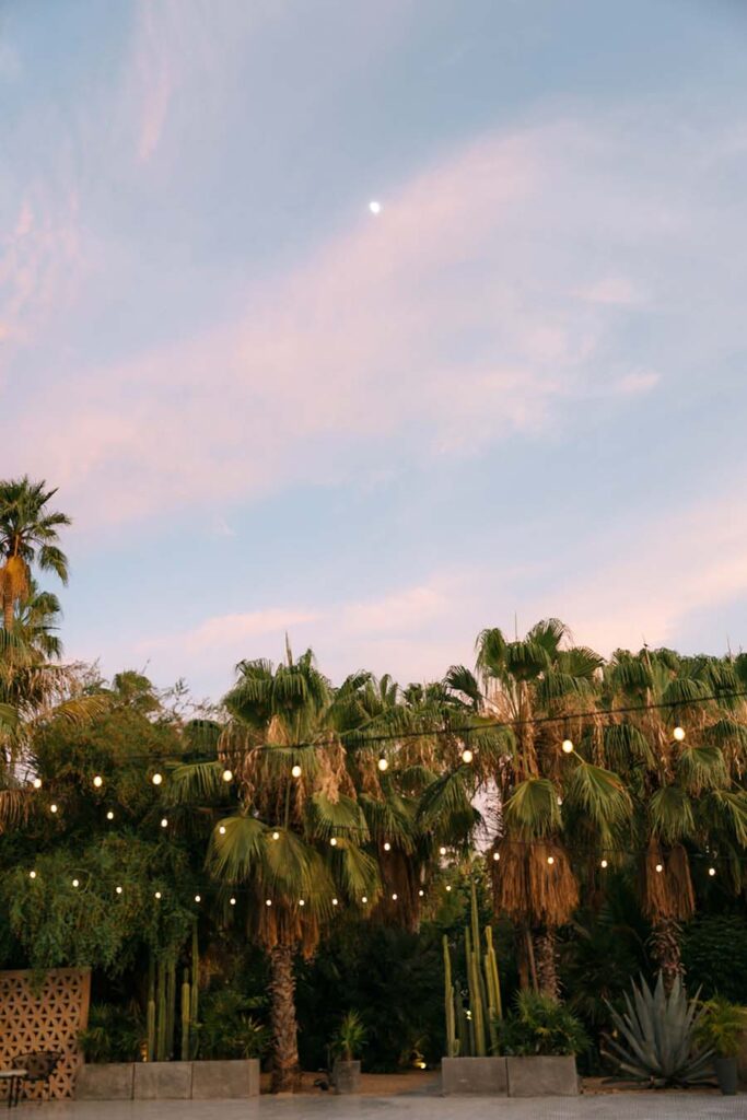 Rustic Outdoor Wedding Venue Los Cabos