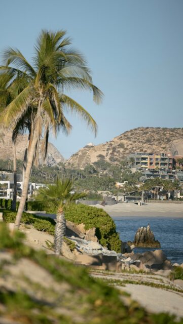 3 reasons couples keep falling in love with getting married in Cabo 🌊☀️✨

• Unreal oceanfront views that make every ceremony feel cinematic
• Luxury destination vibes while still feeling intimate and relaxed
• The perfect mix of beach, desert, sunsets, and nightlife for an unforgettable wedding weekend 🤍

#cabobride #weddingsincabo #weddingdesigner #destinationweddings