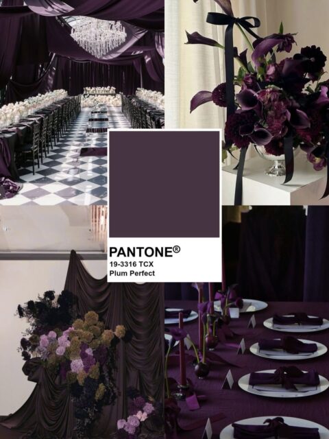 Deep, dramatic, and undeniably romantic—Plum Perfect is making its statement for Fall & Winter weddings

Rich purple tones bring an air of luxury, mystery, and sophistication, especially when paired with black, candlelight, velvet textures, and lush florals. From tablescapes to draping, stationery, and floral design, this moody hue creates an unforgettable atmosphere that feels both editorial and timeless.

The color of the season for couples looking to make a bold, elegant statement. 

#CaboBride #CaboBrideMagazine #WeddingTrends2026 #FallWedding